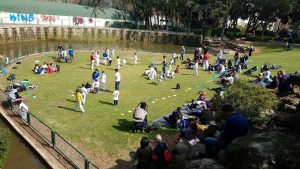 IMG-20200410-WA0053-300x169 מפגש קפוארה בפארק יד לבנים